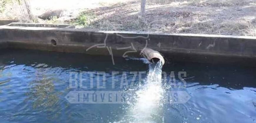 Fazenda de Cinema com 2.032,32 hectares – Altamente Produtiva e Pronta para Investir! | Pirapora/MG