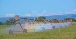 Fazenda de Cinema com 2.032,32 hectares – Altamente Produtiva e Pronta para Investir! | Pirapora/MG