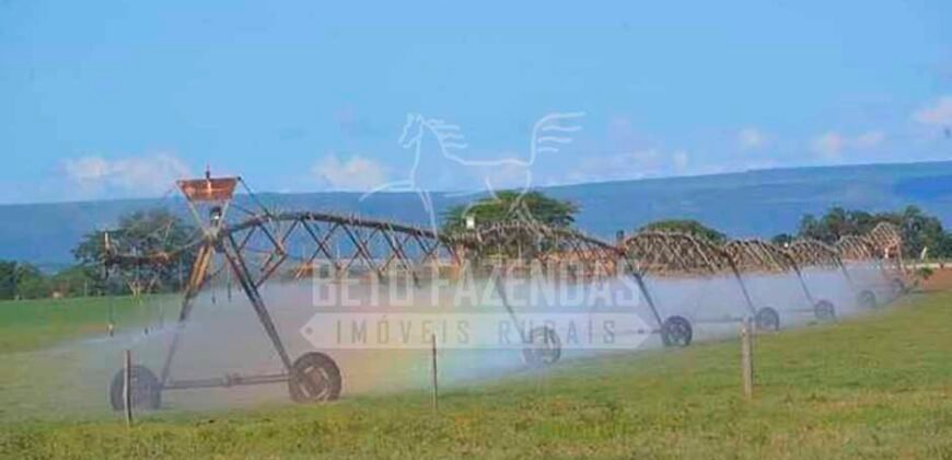 Fazenda de Cinema com 2.032,32 hectares – Altamente Produtiva e Pronta para Investir! | Pirapora/MG