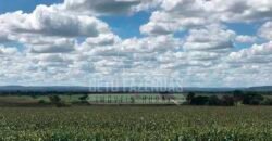 Fazenda de Cinema com 2.032,32 hectares – Altamente Produtiva e Pronta para Investir! | Pirapora/MG