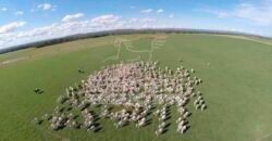 Fazenda de Cinema com 2.032,32 hectares – Altamente Produtiva e Pronta para Investir! | Pirapora/MG