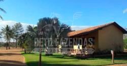 Fazenda de Cinema com 2.032,32 hectares – Altamente Produtiva e Pronta para Investir! | Pirapora/MG