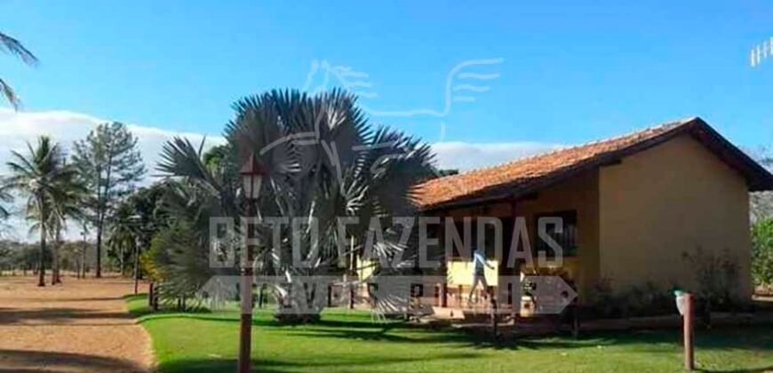 Fazenda de Cinema com 2.032,32 hectares – Altamente Produtiva e Pronta para Investir! | Pirapora/MG