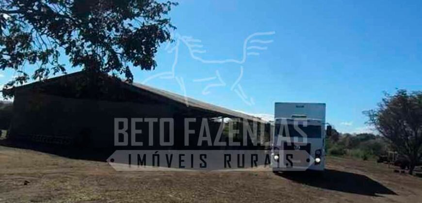 Fazenda de Cinema com 2.032,32 hectares – Altamente Produtiva e Pronta para Investir! | Pirapora/MG