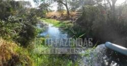 Fazenda de Cinema com 2.032,32 hectares – Altamente Produtiva e Pronta para Investir! | Pirapora/MG