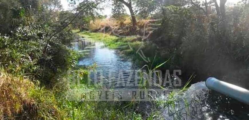 Fazenda de Cinema com 2.032,32 hectares – Altamente Produtiva e Pronta para Investir! | Pirapora/MG