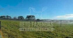 Fazenda de Cinema com 2.032,32 hectares – Altamente Produtiva e Pronta para Investir! | Pirapora/MG