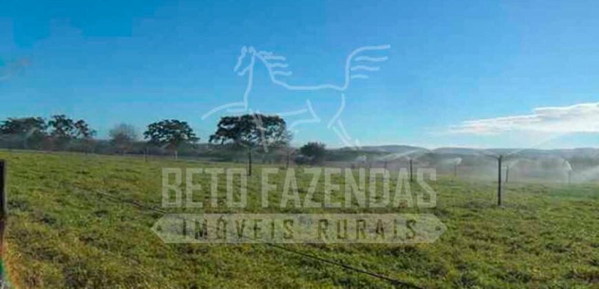 Fazenda de Cinema com 2.032,32 hectares – Altamente Produtiva e Pronta para Investir! | Pirapora/MG