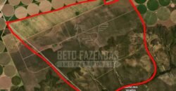 Fazenda à Venda 9.950 hectares Potencial para o Agronegócio | São Desidério/ BA