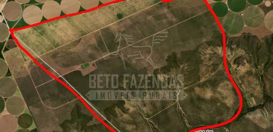 Fazenda à Venda 9.950 hectares Potencial para o Agronegócio | São Desidério/ BA