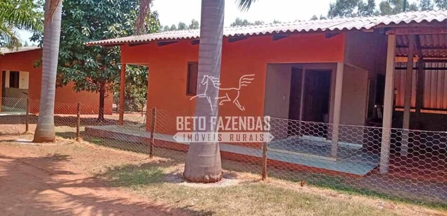 Fazenda à Venda 3.705 hectares Alta produtividade e Rentabilidade | Alto Boa Vista/MT