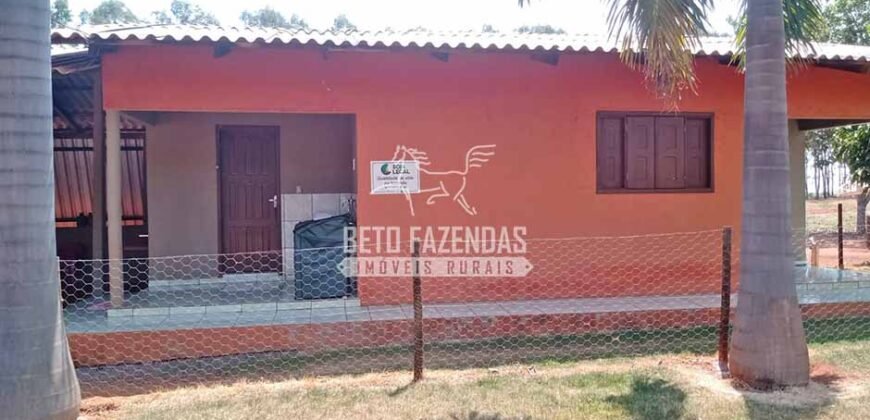 Fazenda à Venda 3.705 hectares Alta produtividade e Rentabilidade | Alto Boa Vista/MT