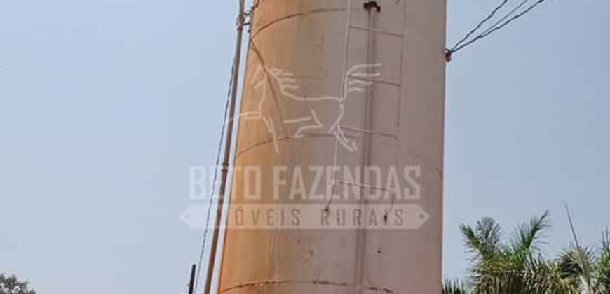 Fazenda à Venda 3.705 hectares Alta produtividade e Rentabilidade | Alto Boa Vista/MT