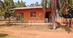 Fazenda à Venda 3.705 hectares Alta produtividade e Rentabilidade | Alto Boa Vista/MT