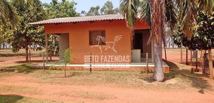 Fazenda à Venda 3.705 hectares Alta produtividade e Rentabilidade | Alto Boa Vista/MT