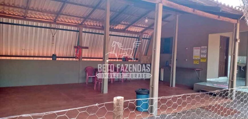 Fazenda à Venda 3.705 hectares Alta produtividade e Rentabilidade | Alto Boa Vista/MT