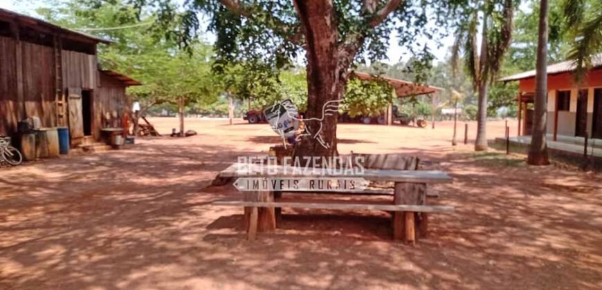 Fazenda à Venda 3.705 hectares Alta produtividade e Rentabilidade | Alto Boa Vista/MT
