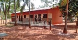 Fazenda à Venda 3.705 hectares Alta produtividade e Rentabilidade | Alto Boa Vista/MT