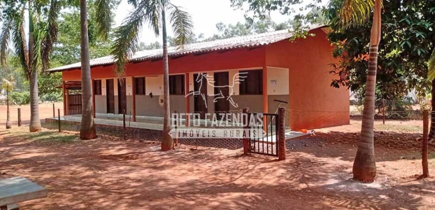 Fazenda à Venda 3.705 hectares Alta produtividade e Rentabilidade | Alto Boa Vista/MT