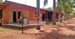 Fazenda à Venda 3.705 hectares Alta produtividade e Rentabilidade | Alto Boa Vista/MT