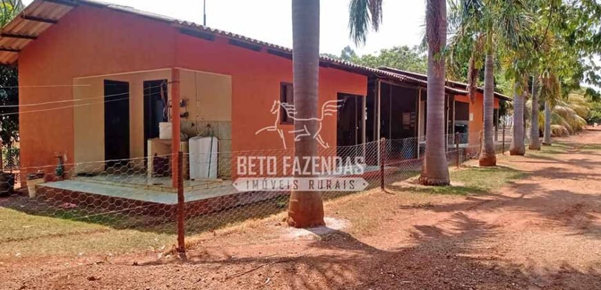 Fazenda à Venda 3.705 hectares Alta produtividade e Rentabilidade | Alto Boa Vista/MT