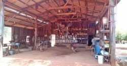 Fazenda à Venda 3.705 hectares Alta produtividade e Rentabilidade | Alto Boa Vista/MT