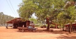 Fazenda à Venda 3.705 hectares Alta produtividade e Rentabilidade | Alto Boa Vista/MT