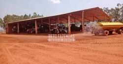 Fazenda à Venda 3.705 hectares Alta produtividade e Rentabilidade | Alto Boa Vista/MT