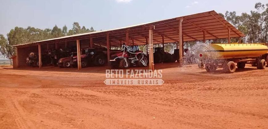 Fazenda à Venda 3.705 hectares Alta produtividade e Rentabilidade | Alto Boa Vista/MT