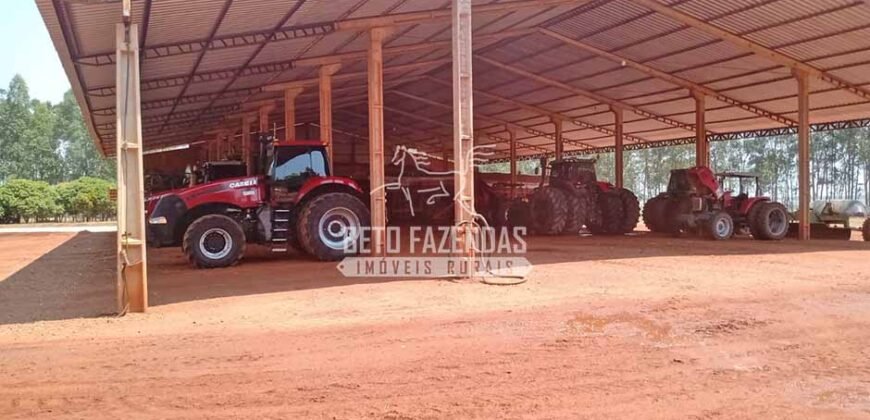 Fazenda à Venda 3.705 hectares Alta produtividade e Rentabilidade | Alto Boa Vista/MT