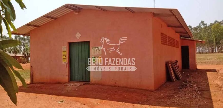 Fazenda à Venda 3.705 hectares Alta produtividade e Rentabilidade | Alto Boa Vista/MT