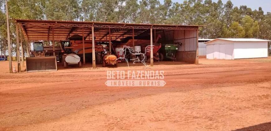 Fazenda à Venda 3.705 hectares Alta produtividade e Rentabilidade | Alto Boa Vista/MT