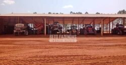 Fazenda à Venda 3.705 hectares Alta produtividade e Rentabilidade | Alto Boa Vista/MT