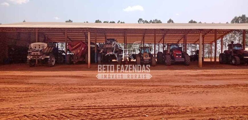 Fazenda à Venda 3.705 hectares Alta produtividade e Rentabilidade | Alto Boa Vista/MT