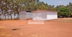 Fazenda à Venda 3.705 hectares Alta produtividade e Rentabilidade | Alto Boa Vista/MT