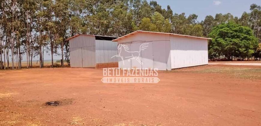 Fazenda à Venda 3.705 hectares Alta produtividade e Rentabilidade | Alto Boa Vista/MT