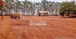 Fazenda à Venda 3.705 hectares Alta produtividade e Rentabilidade | Alto Boa Vista/MT