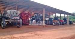 Fazenda à Venda 3.705 hectares Alta produtividade e Rentabilidade | Alto Boa Vista/MT