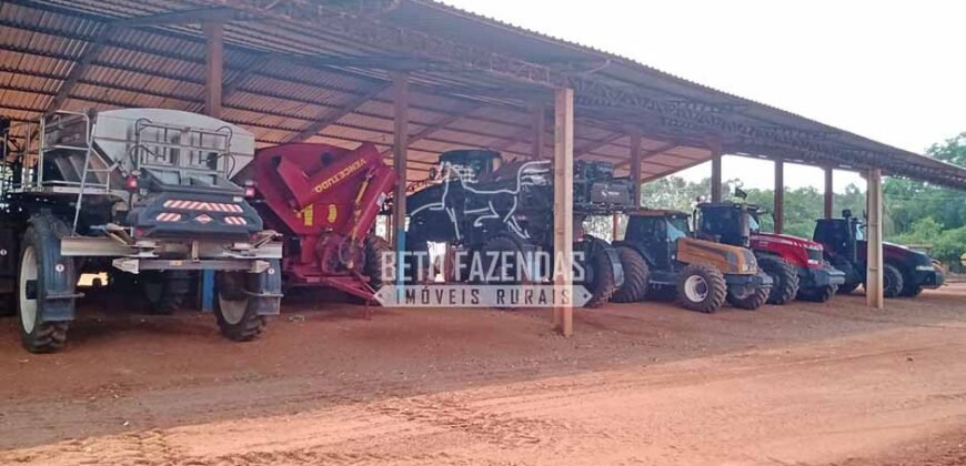 Fazenda à Venda 3.705 hectares Alta produtividade e Rentabilidade | Alto Boa Vista/MT