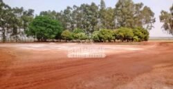 Fazenda à Venda 3.705 hectares Alta produtividade e Rentabilidade | Alto Boa Vista/MT