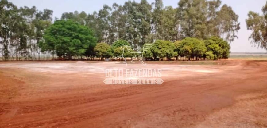 Fazenda à Venda 3.705 hectares Alta produtividade e Rentabilidade | Alto Boa Vista/MT