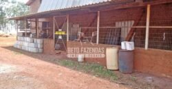 Fazenda à Venda 3.705 hectares Alta produtividade e Rentabilidade | Alto Boa Vista/MT