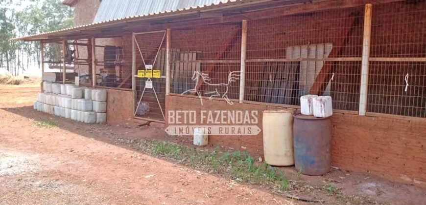 Fazenda à Venda 3.705 hectares Alta produtividade e Rentabilidade | Alto Boa Vista/MT