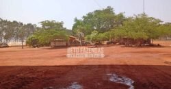 Fazenda à Venda 3.705 hectares Alta produtividade e Rentabilidade | Alto Boa Vista/MT