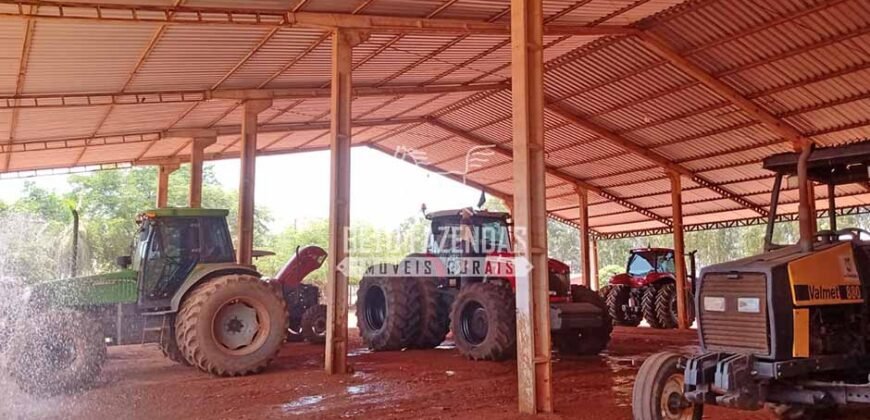 Fazenda à Venda 3.705 hectares Alta produtividade e Rentabilidade | Alto Boa Vista/MT
