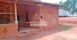 Fazenda à Venda 3.705 hectares Alta produtividade e Rentabilidade | Alto Boa Vista/MT