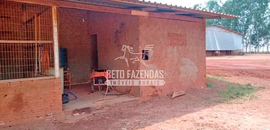 Fazenda à Venda 3.705 hectares Alta produtividade e Rentabilidade | Alto Boa Vista/MT