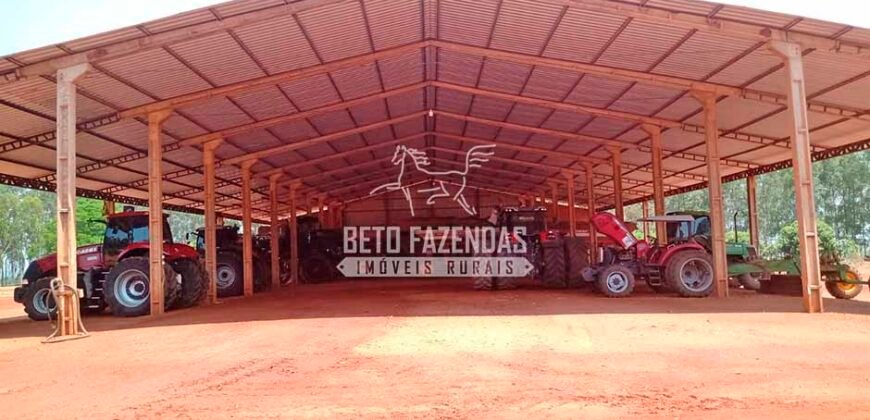 Fazenda à Venda 3.705 hectares Alta produtividade e Rentabilidade | Alto Boa Vista/MT