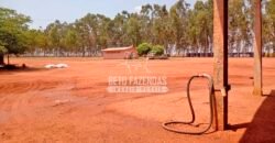 Fazenda à Venda 3.705 hectares Alta produtividade e Rentabilidade | Alto Boa Vista/MT