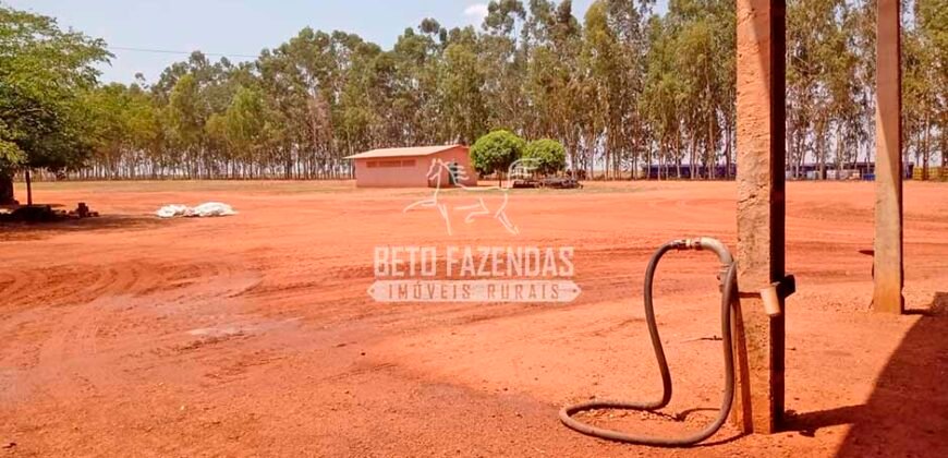 Fazenda à Venda 3.705 hectares Alta produtividade e Rentabilidade | Alto Boa Vista/MT